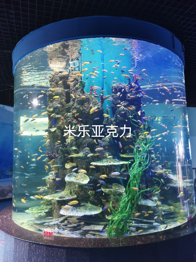 <b>亞克力魚缸制作工藝流程</b>